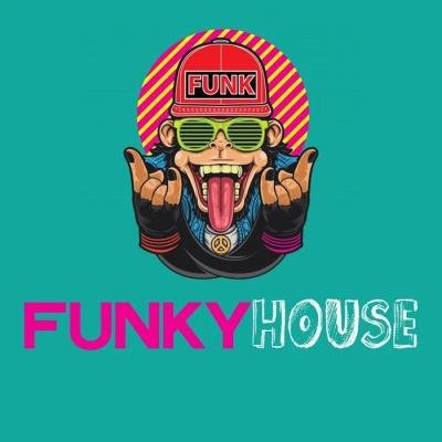 Funky House (The Hot Funky House Music Selection 2020) (2020)