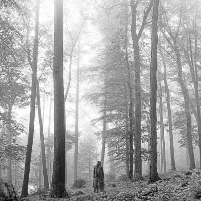 Taylor Swift - Folklore (2020) FLAC