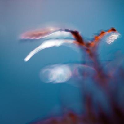 Adam Kroll - Places I`ve Seen (2020)