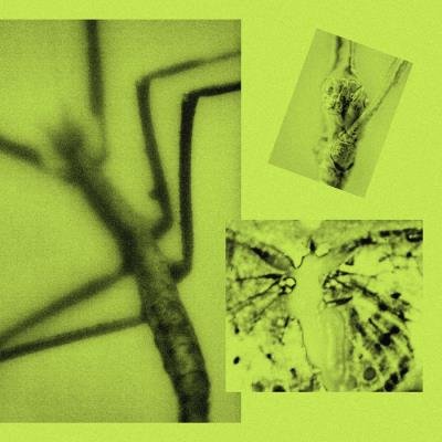 The Marx Trukker - This Ain't Pop (Though It Could) (2020)