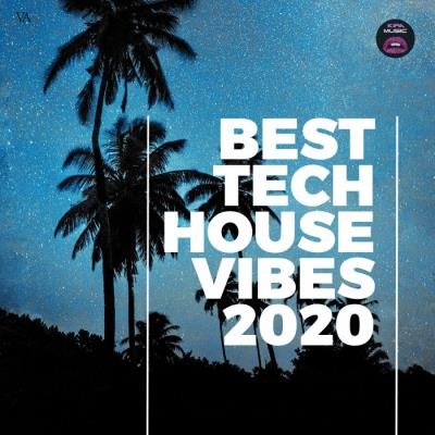 Best Tech House Vibes 2020 (2020)