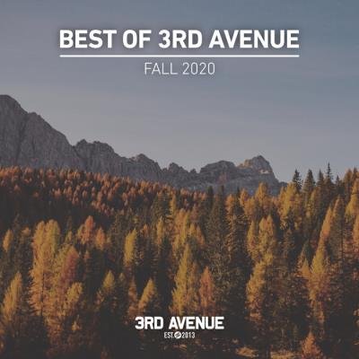 Best of 3rd Avenue: Fall 2020 (2020)