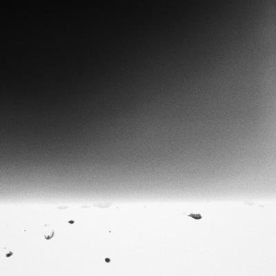 Ctafad - Vertical Horizontal (2020)