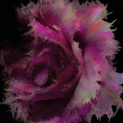 Courtoisy - COURTOISYD01 (2020)