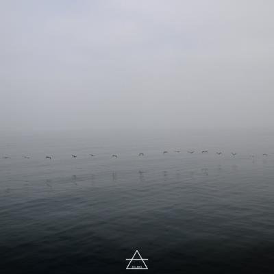 Calogero Aquilina - Draunara (2020)