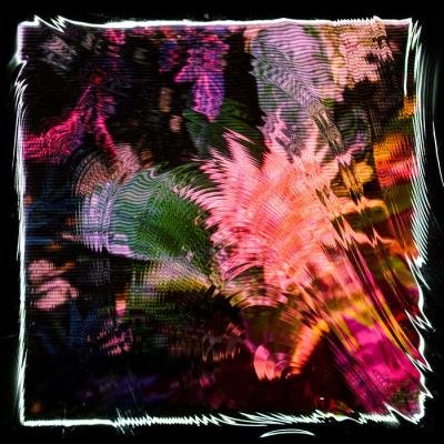 Camila Fuchs - Kids Talk Sun (2020)