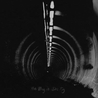 The Bug & Dis Fig - In Blue (2020)