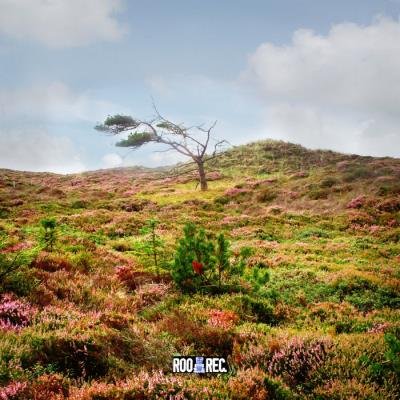 Synthese - Streichkonzert (2020)