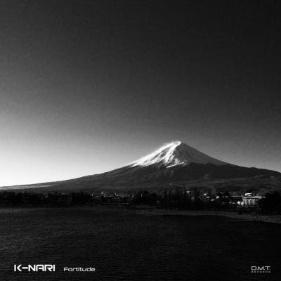 K-NARI - Fortitude Lp (2020)
