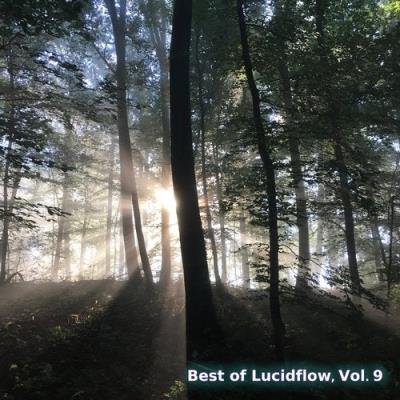 Best Of Lucidflow, Vol. 9 (2020)