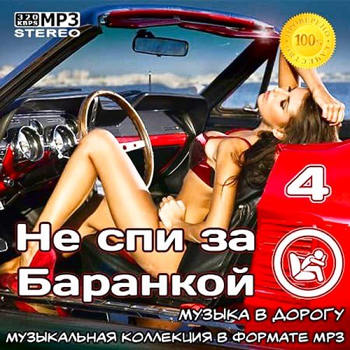 Не спи за Баранкой - 4 (2021)