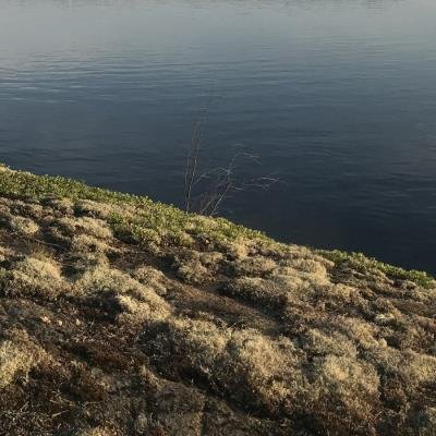 Aleksi Perala - Midnight Sun 2 B (2021)