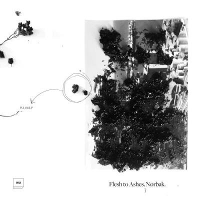 NO?RBAK - Flesh To Ashes LP (2021)