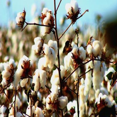 Joshua Elias - Feel It [EP] (2021)