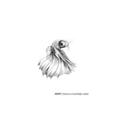 ADNT - Dance In Knee High Water (2021)