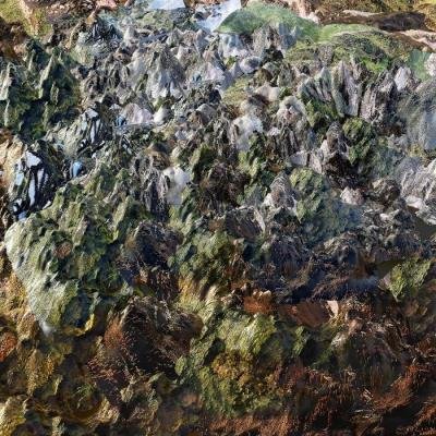 Genetisis - Genetisis (2021)