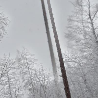 Affin Selection - Affin (2021)