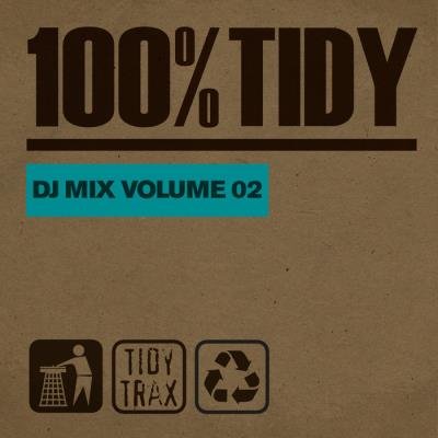 100% Tidy, Vol. 2 (2021)