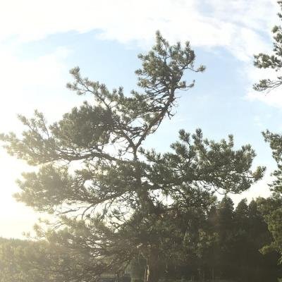 Aleksi Perala - Midnight Sun 4 EP 5 (2021)