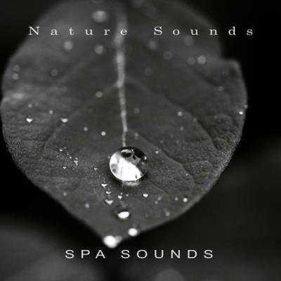 Nature Sounds - Spa Sounds (2021)