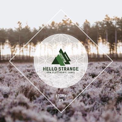 Hello Strange Story #9 (2021)