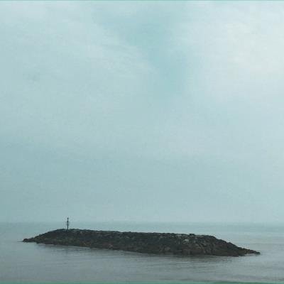 Seafields - Moss Covered Technology (2021)