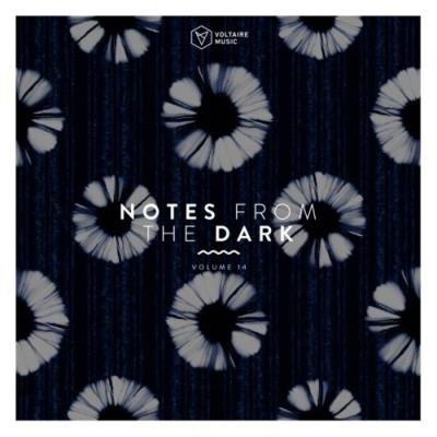 Notes From The Dark, Vol. 14 (2021)