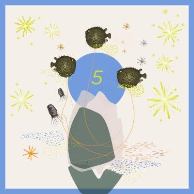 5 Years - A Bunte Kuh Collection (2021)