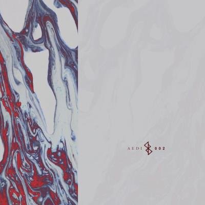 Aedi Records - Synergy (2021)