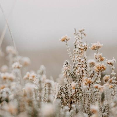 Grotta Veterano - Slumbers (2021)