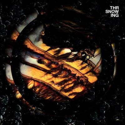 Throwing Snow - Dragons (2021)