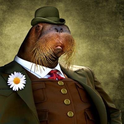 Androcell - Fib (2021)