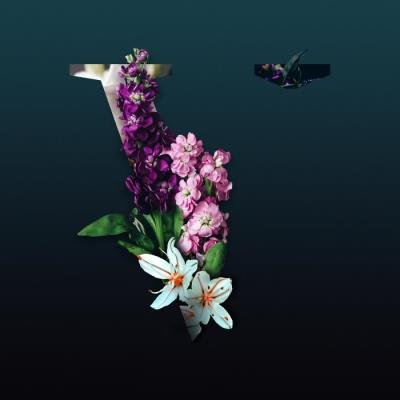 This Never Happened - V (2021)