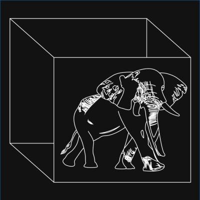 Extended Family Compilation (2021)