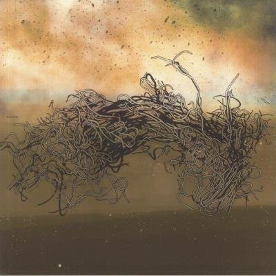 Ross Gentry - Prism Of Dust (2021)