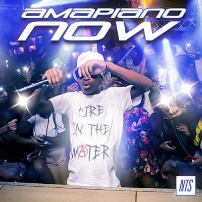 Amapiano Now (Album) (2021)