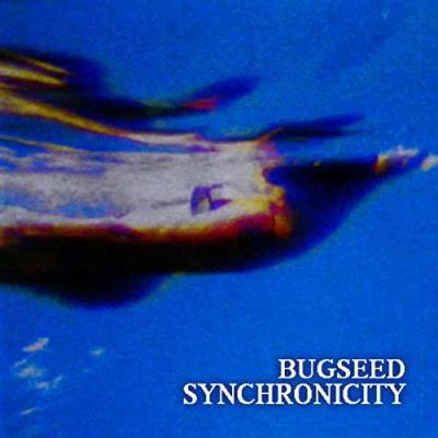 Bugseed - Synchronicty (2021)