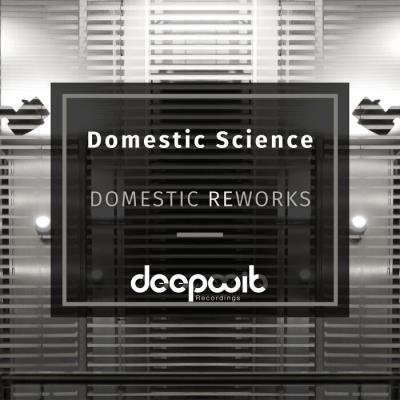 Domestic Science - Domestic Reworks (2021)