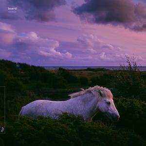 Harald Klein - Live at Usus am Wasser Vienna 07-29 (2021)