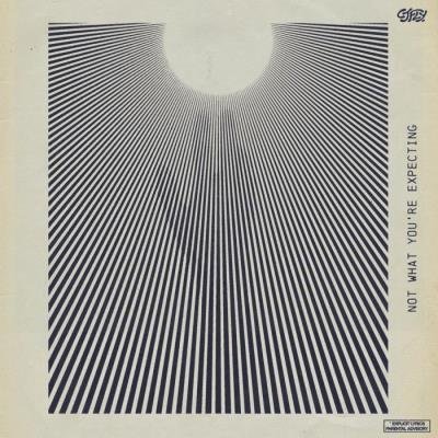 Cj Fly - Not What Youre Expecting (2021)