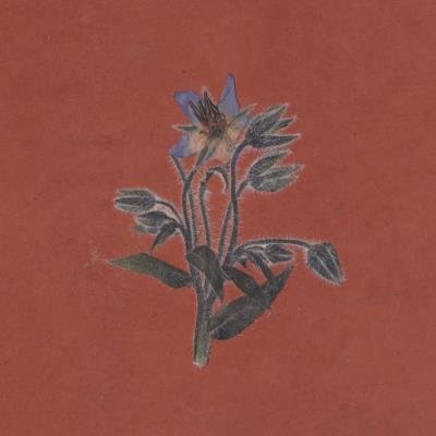 Flavien Berger - De La Friche (2021)