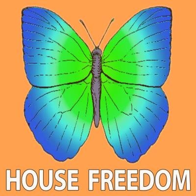 House Freedom - Painting (2021)
