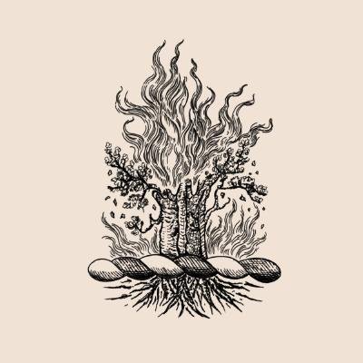 Suneater - Absence (2021)