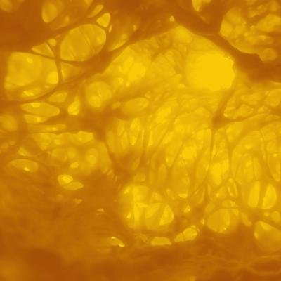 The Slow Voyage - Soul''s Whisper (2021)