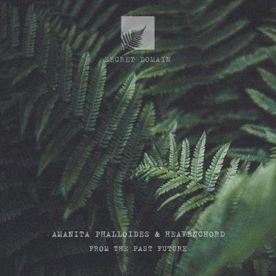 Amanita Phalloides & Heavenchord - From The Past Future (2021)
