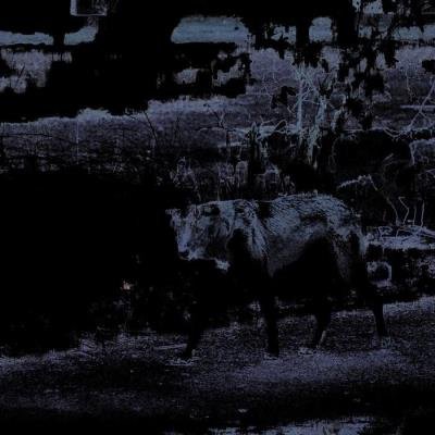 Laima Adelaide - Morgen Nebel (2021)