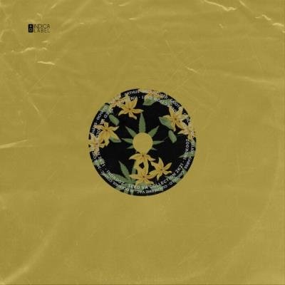 Seed Va Collection (2021)