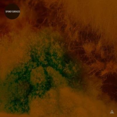 Spongy Surfaces (2021)