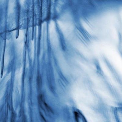 Motion Symmetry - Ornaments In One Distorted Mind (2021)