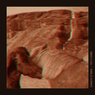 Pulli & Chomba - Shaman de Ketamina (2021)